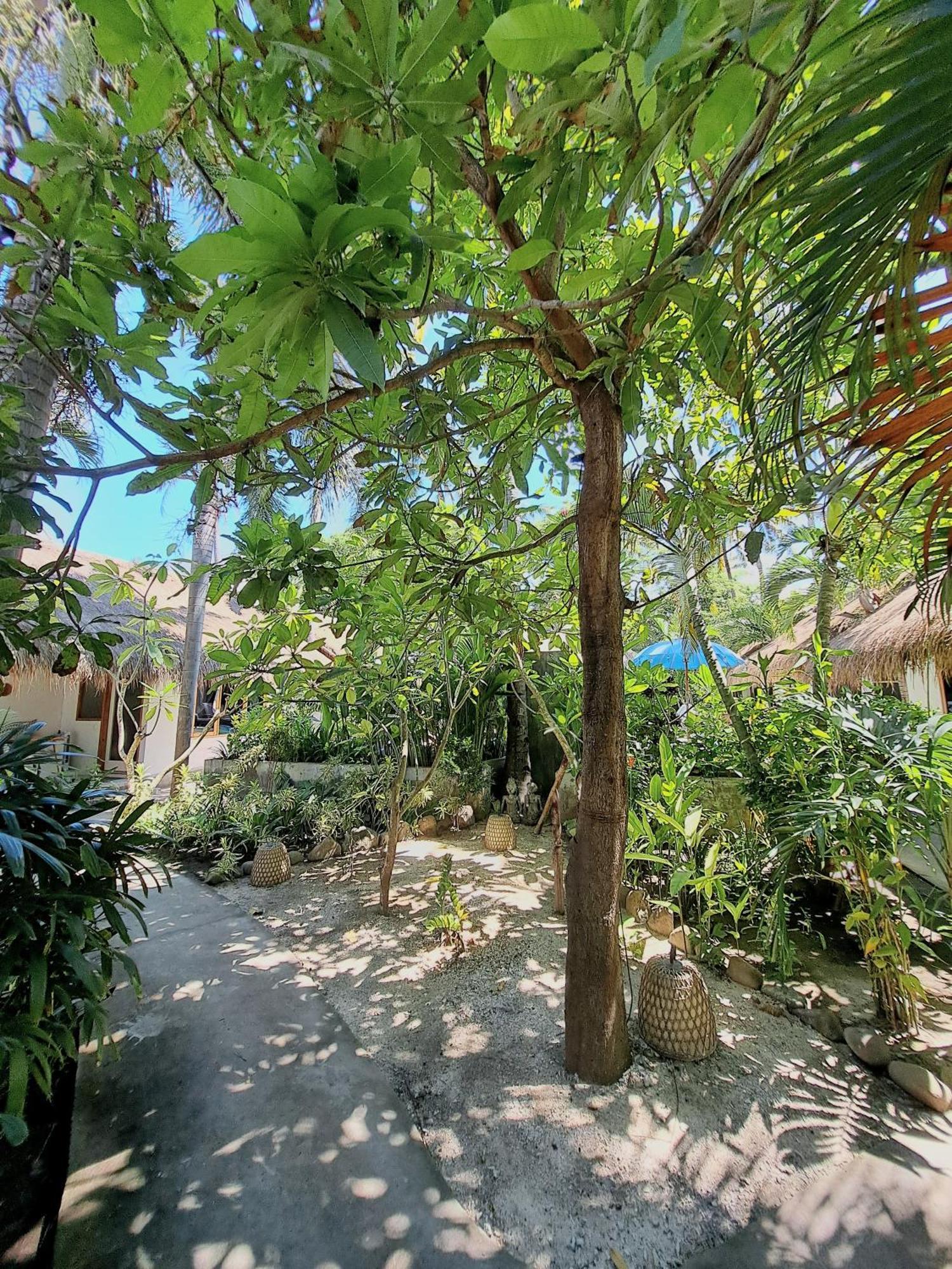 Eden Eco Resort Τζίλι Τραγουανγκάν Εξωτερικό φωτογραφία