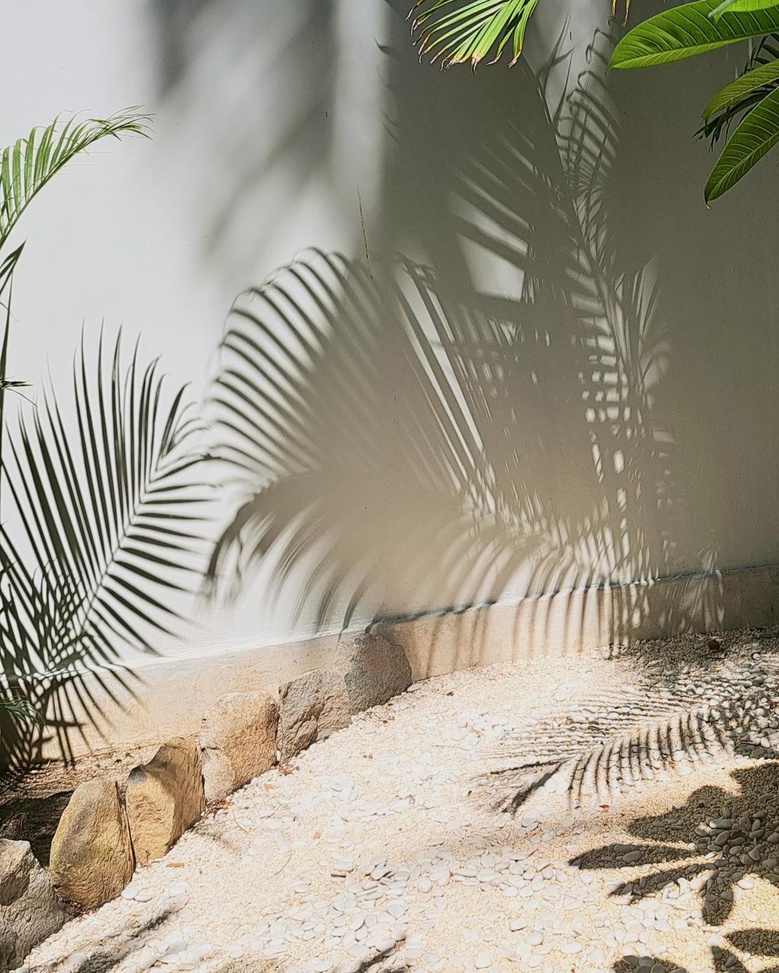 Eden Eco Resort Τζίλι Τραγουανγκάν Εξωτερικό φωτογραφία